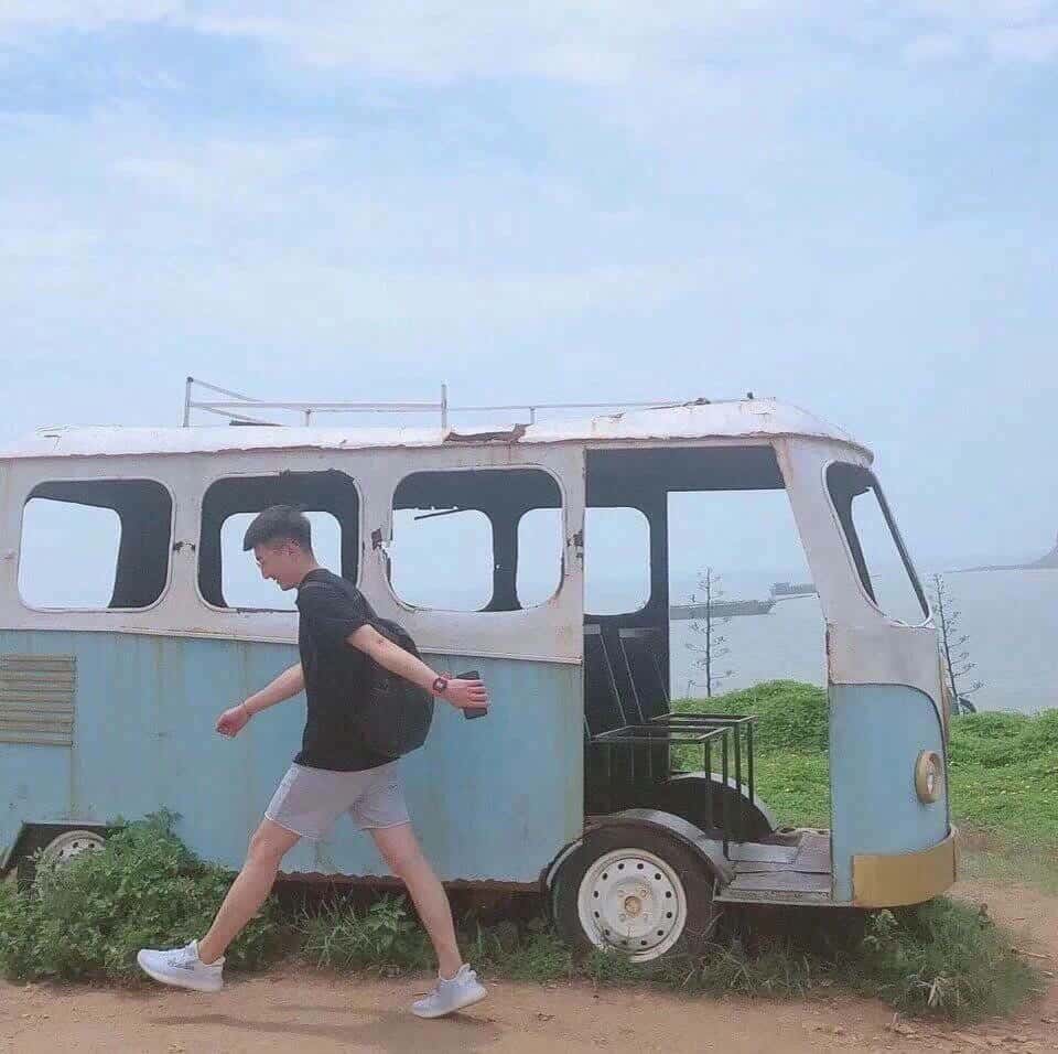 野哥-菠菜星球